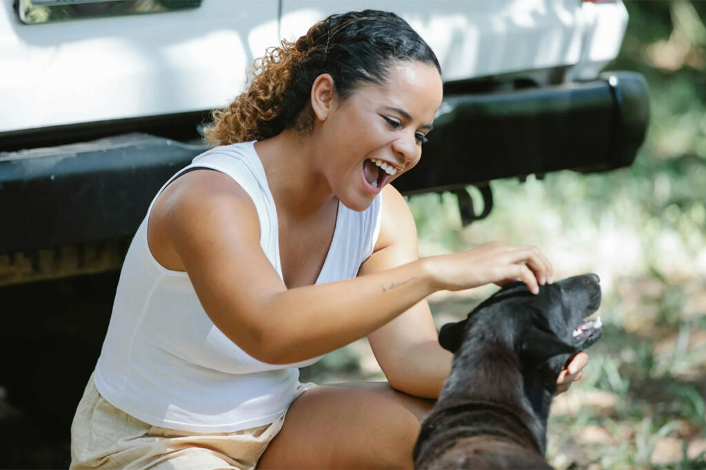 viajar con perro