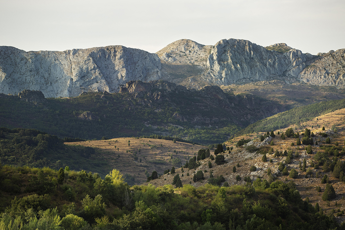 Foto noticia: Las mejores escapadas de invierno cerca de Madrid