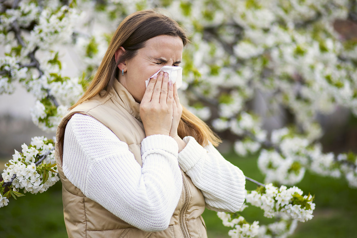 Foto noticia: Remedios naturales para alergias y cómo aliviarlas